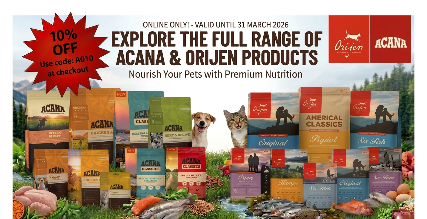 Welcome to Our Store